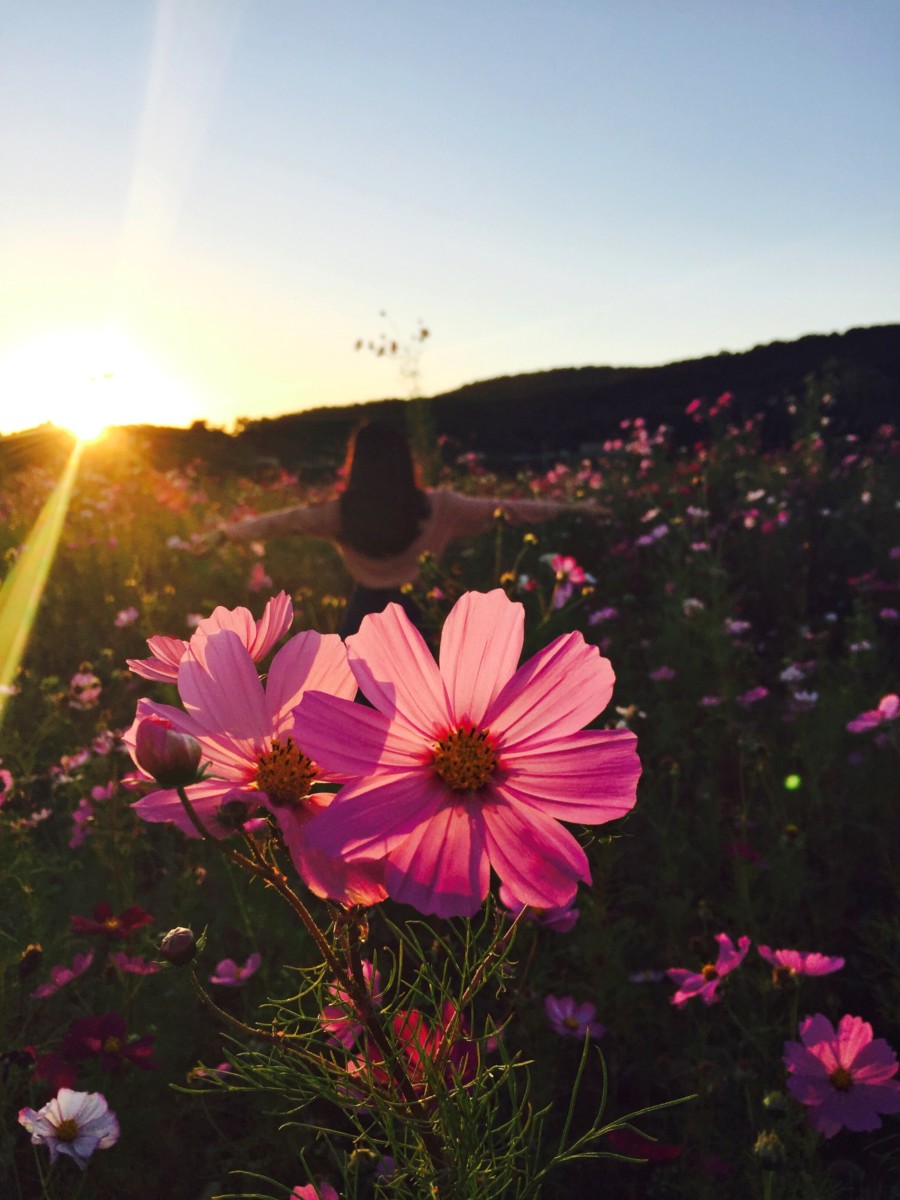 Cultivate Creativity Improve productivity
